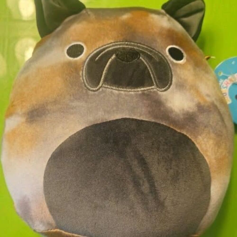 Squishmallows Collection Ballis the Bulldog Stuffed Plush Pet Squad 7.5" NWT